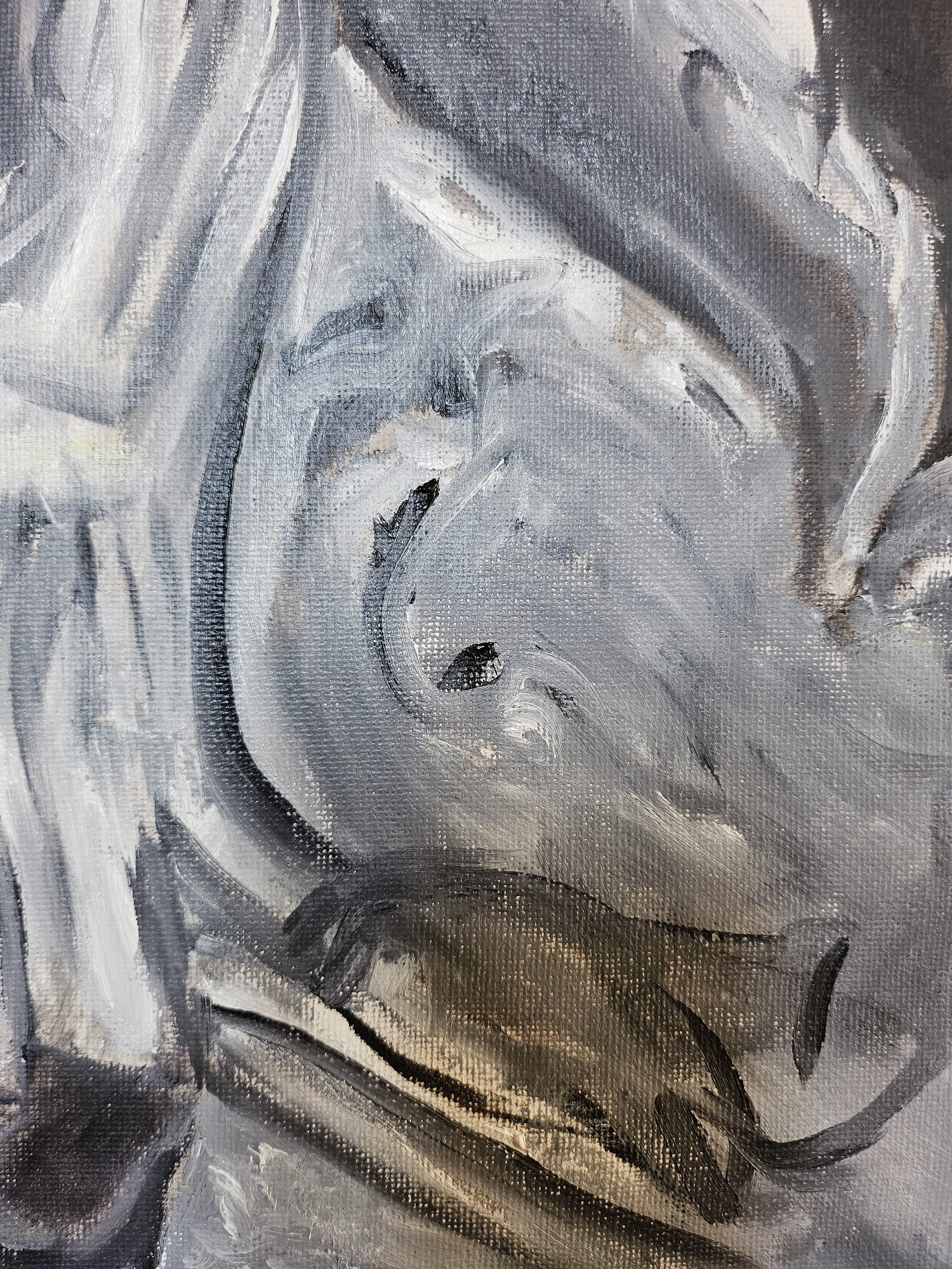 Rabia contenida 30X40 (Óleo)