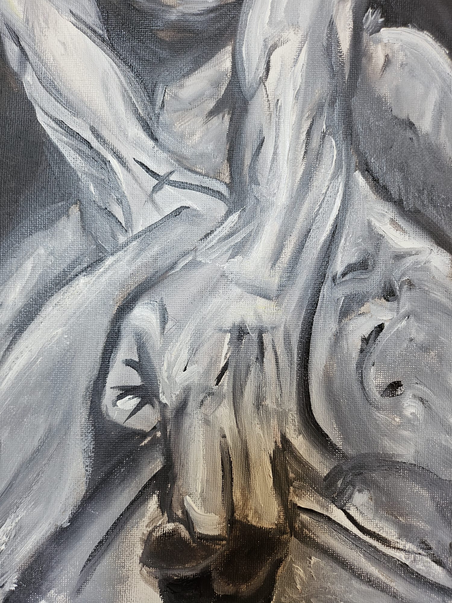 Rabia contenida 30X40 (Óleo)